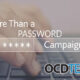 More Than a Password Campaign