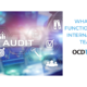 What are functions of an internal audit team?