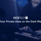 Is Your Private Data on the Dark Web?